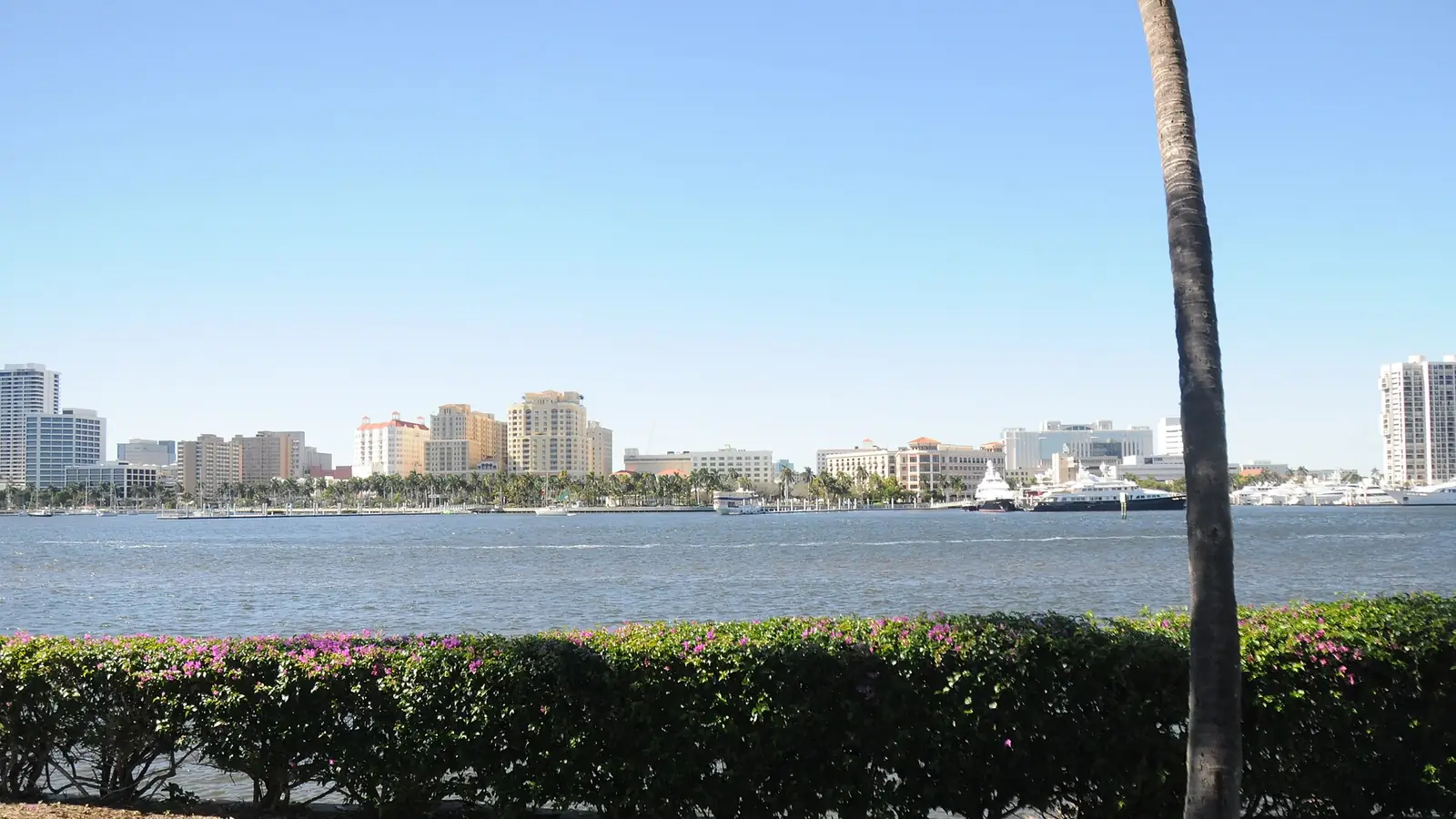 Seawall-lined waterfront on the Lake Worth Lagoon with palm trees