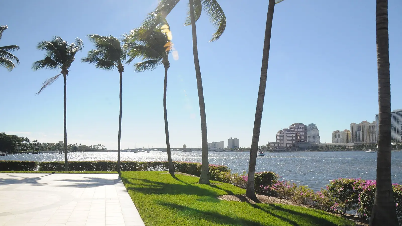 Waterfront walkway and palms beside the Intracoastal Waterway
